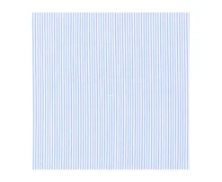 Camisa blanca con rayas azules Anselme-Bexley Best