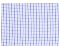 Camisa de cuadros finos Blanco y Azul océano Martin-Bexley Outlet
