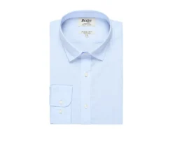 Camisa lisa de lino de algodón Celeste Silbert-Bexley Sale
