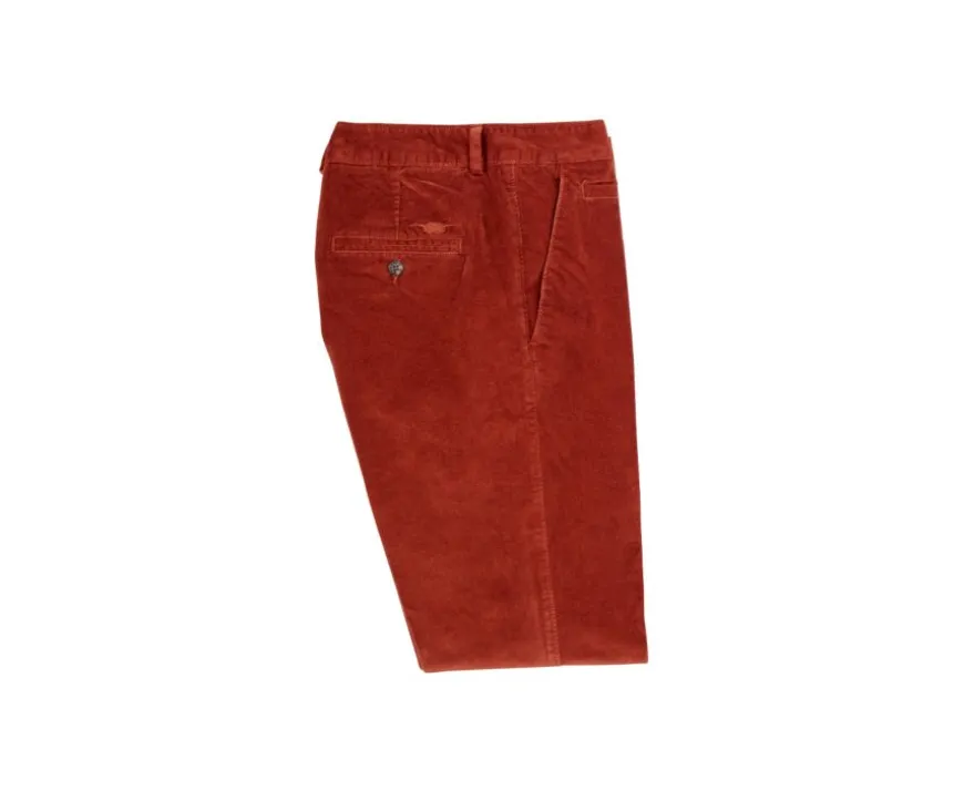 Pantalón chino de terciopelo Terracota Kinsley-Bexley Clearance