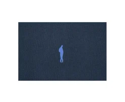Polo de hombre Azul nórdico Andy Ii-Bexley Fashion