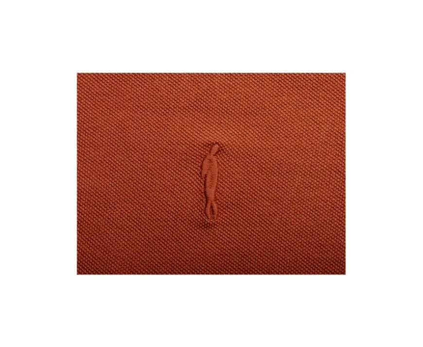 Polo de hombre manga larga Terracota Alec Ii Ml-Bexley Cheap